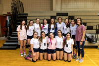 2019 - Volleyball vs AES